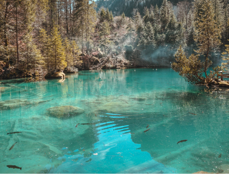 1649899182351805.png 微信截圖_20220401133602.png