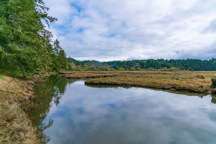 水產(chǎn)養(yǎng)殖水質(zhì)檢測 水產(chǎn)養(yǎng)殖水質(zhì)檢測