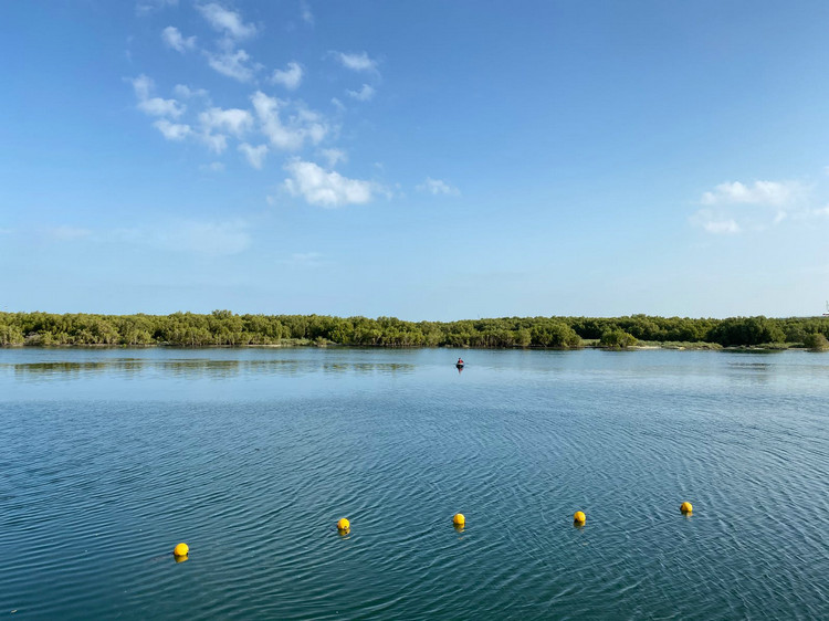 COD測(cè)定儀檢測(cè)污水 COD測(cè)定儀檢測(cè)污水