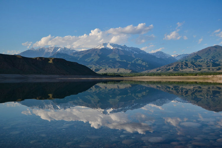 水質污染 水質污染