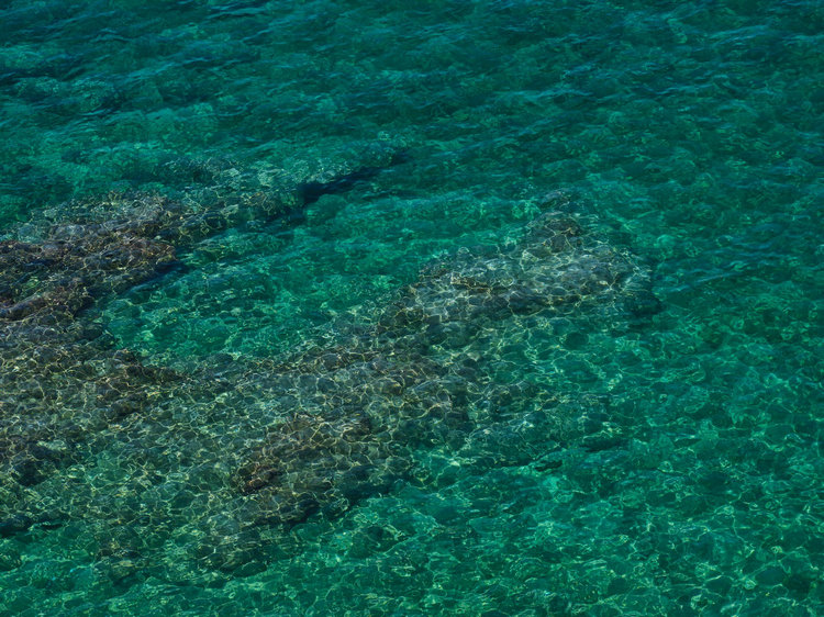 COD測定儀 COD測定儀